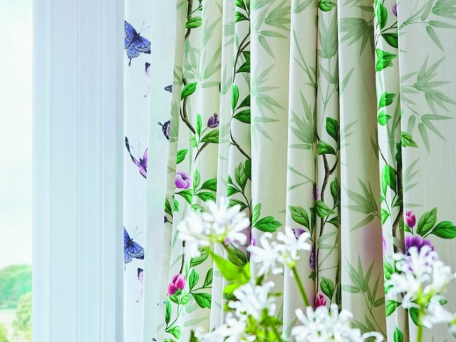 H_2022_Diane_HIll_060